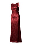 Fitted Lace Dress with Matching Stole/ Scarf