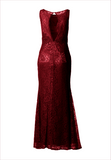 Fitted Lace Dress with Matching Stole/ Scarf