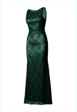 Fitted Lace Dress with Matching Stole/ Scarf