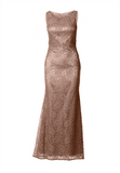 Fitted Lace Dress with Matching Stole/ Scarf