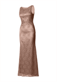 Fitted Lace Dress with Matching Stole/ Scarf