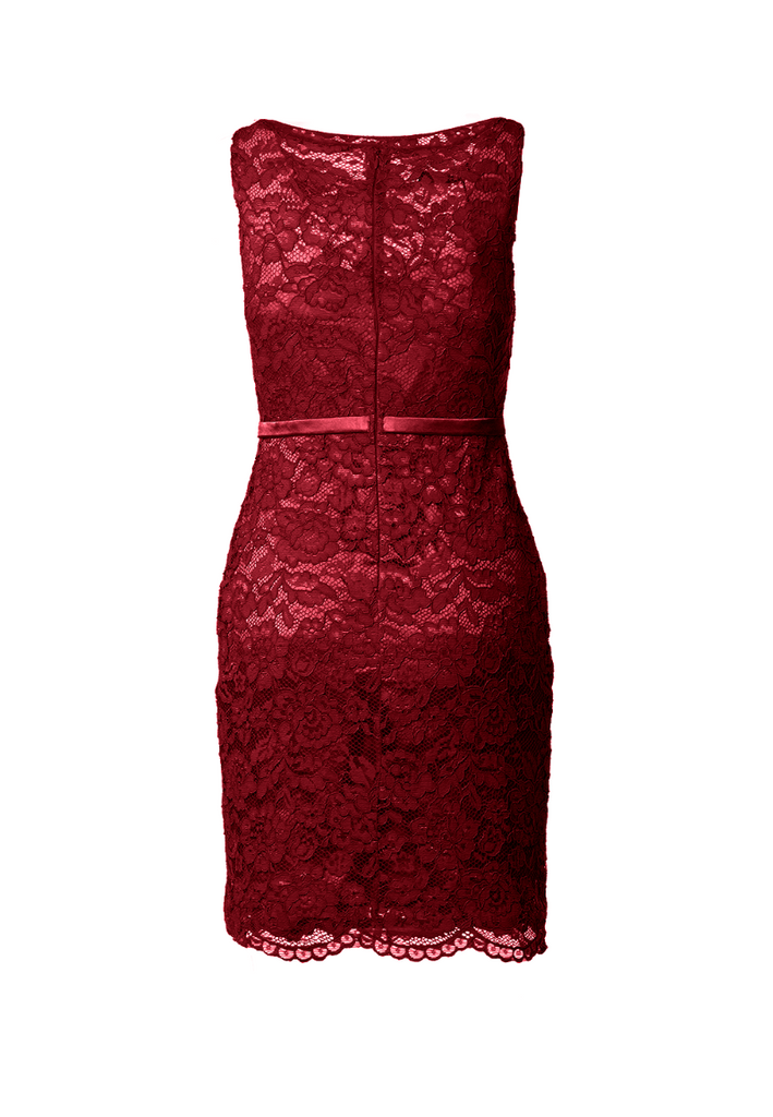 Fitted Lace Cocktail Dress with Matching Stole /Scarf
