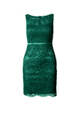 Fitted Lace Cocktail Dress with Matching Stole /Scarf