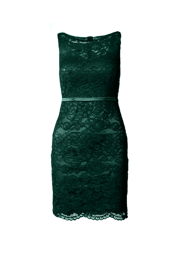 Fitted Lace Cocktail Dress with Matching Stole /Scarf