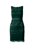 Fitted Lace Cocktail Dress with Matching Stole /Scarf