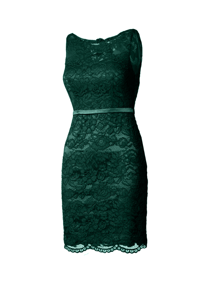 Fitted Lace Cocktail Dress with Matching Stole /Scarf
